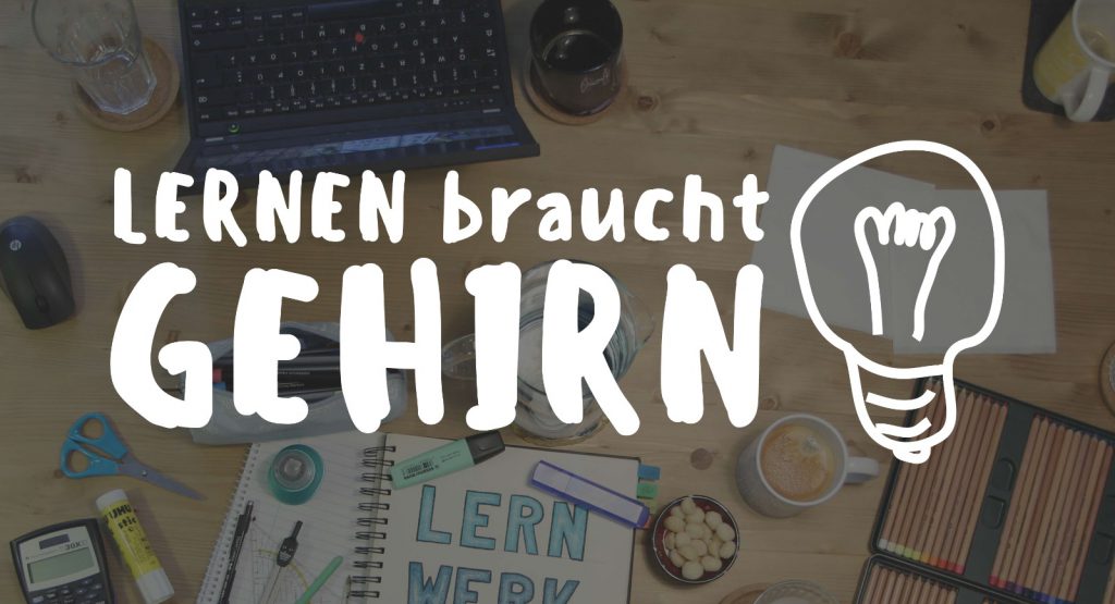Beitragsbild zu Lernen braucht Gehirn